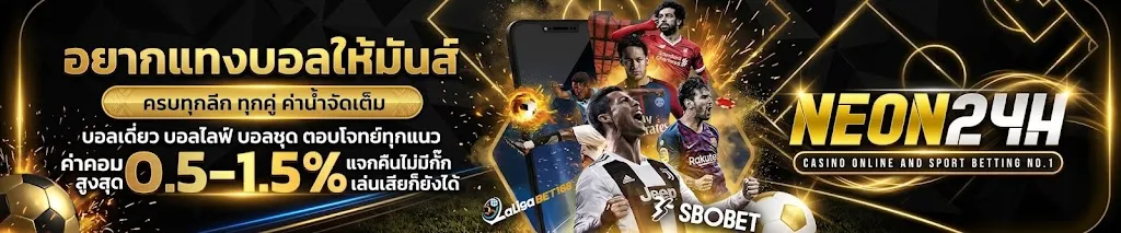 โปรโมชั่น 1 neon24h