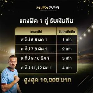 โปรโมชั่น 1