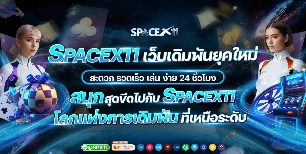 แบนเนอร์ spacex11