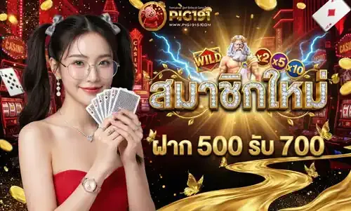 โปรโมชั่น 1 pig191