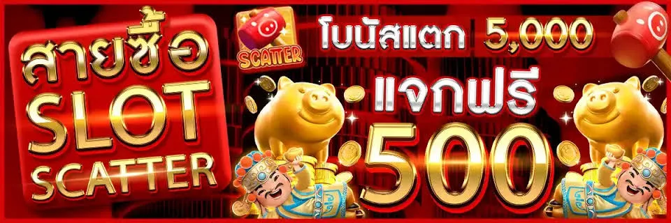 โปรโมชั่น 1