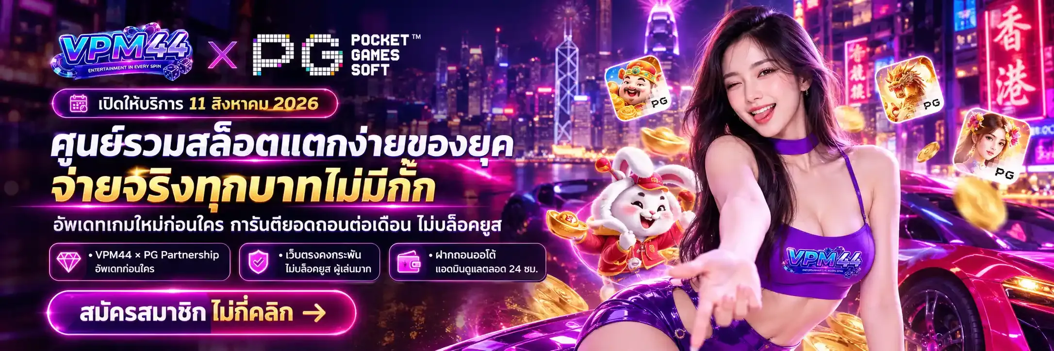 แบนเนอร์ vpm44