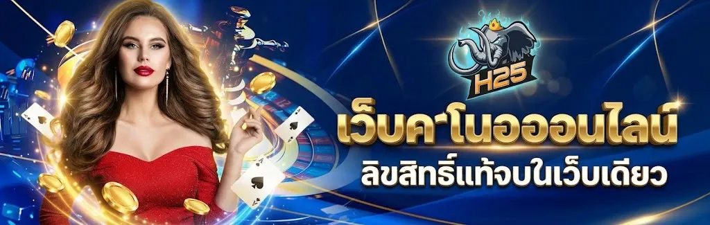 แบนเนอร์ h25