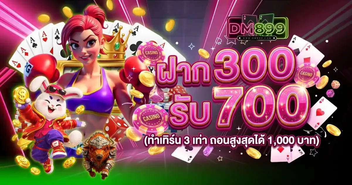 โปรโมชั่น 3 dm899